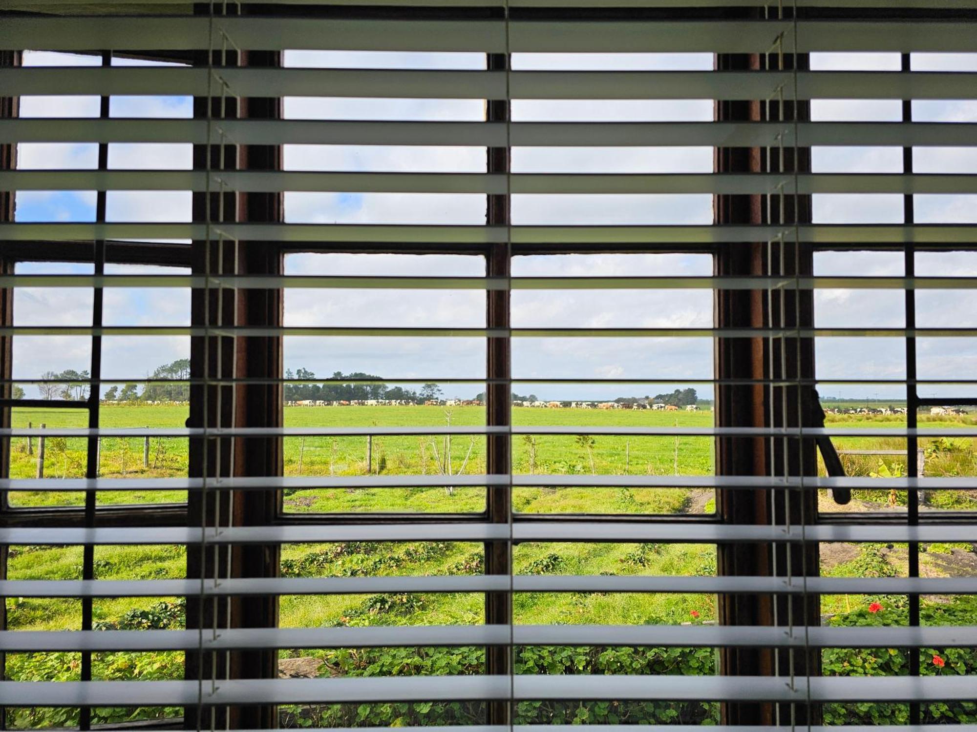 Tsitsikamma Gardens Cottages Self-Catering Cottages Sanddrif Exteriér fotografie