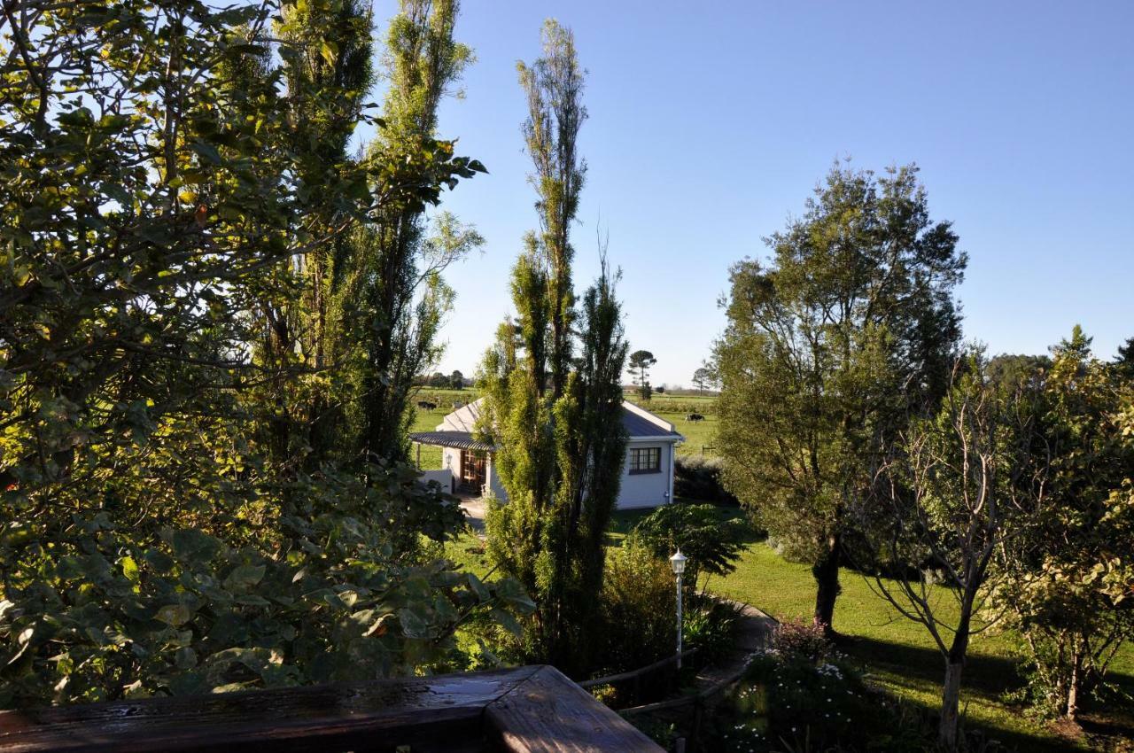 Tsitsikamma Gardens Cottages Self-Catering Cottages Sanddrif Exteriér fotografie